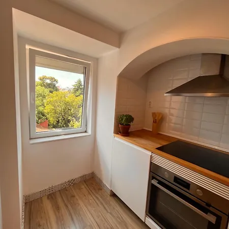 Botanical Gardens Principe Real