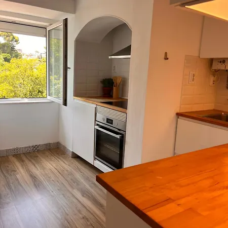 Apartment Botanical Gardens Principe Real