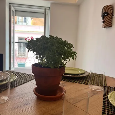 Botanical Gardens Principe Real *