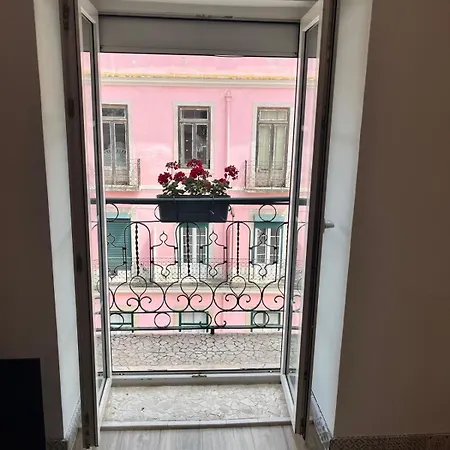 Botanical Gardens Principe Real *