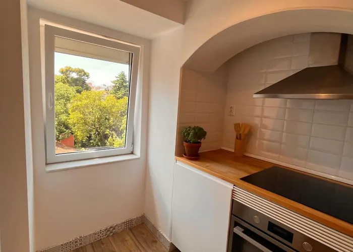 Botanical Gardens Principe Real