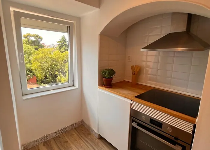 Botanical Gardens Principe Real *