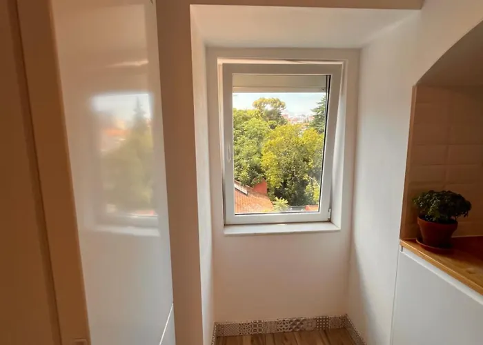 Botanical Gardens Principe Real *