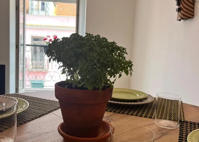 Botanical Gardens Principe Real *