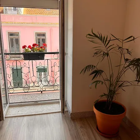 Appartement Botanical Gardens Principe Real